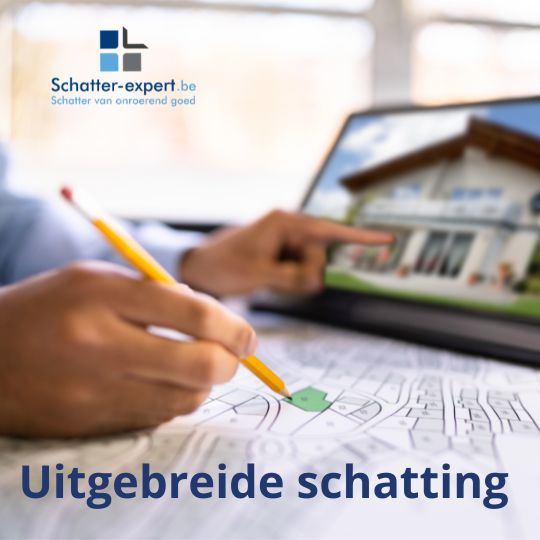 Uitgebreide schatting